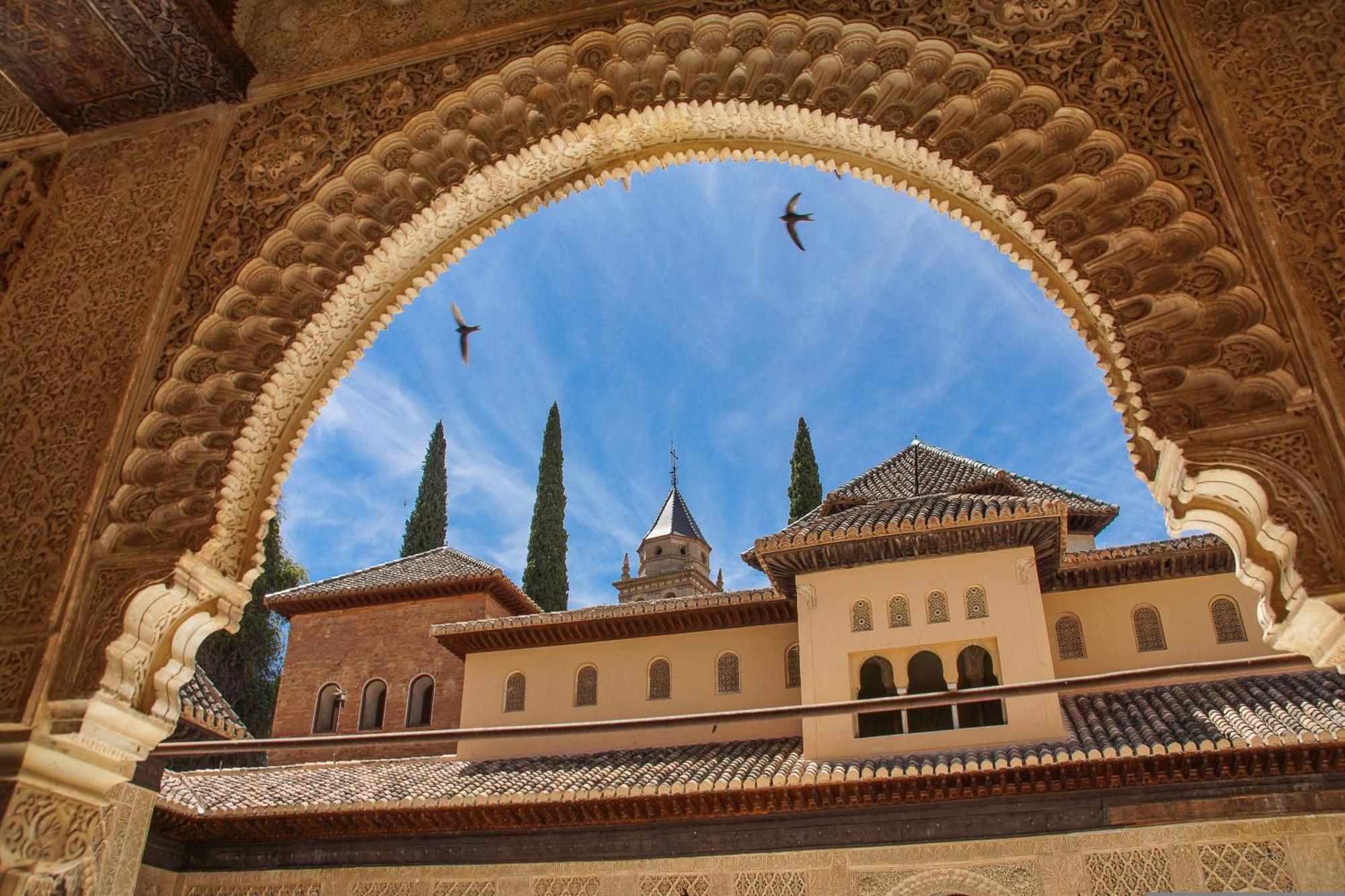 Dali'S Sanctuary In Granada - Private Parking Free Apartment Exterior photo